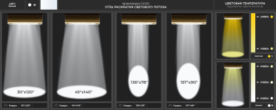 Магистраль GOLD, консоль K-1, 53 Вт, 30X120°, светодиодный светильник в России